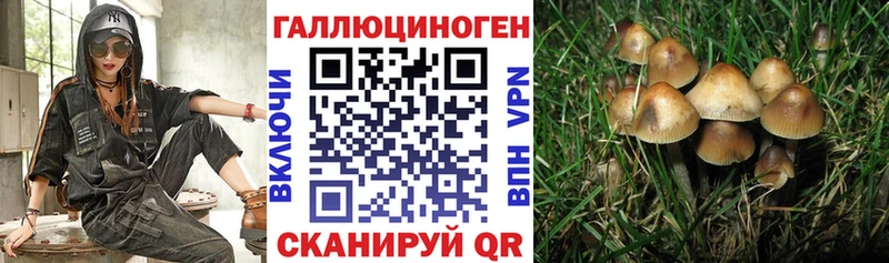 Галлюциногенные грибы Magic Shrooms  Купить  Ильский 